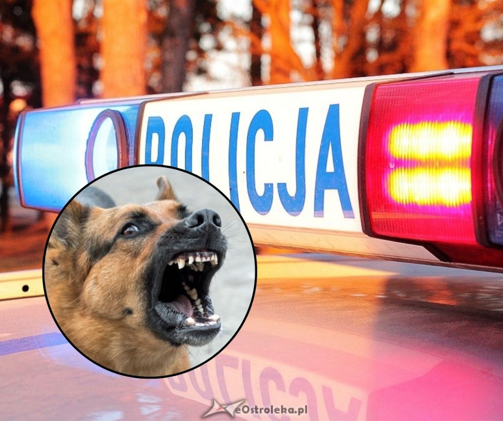 Dramatyczny telefon na numer alarmowy. Co naprawdę wydarzyło się w Ławach?