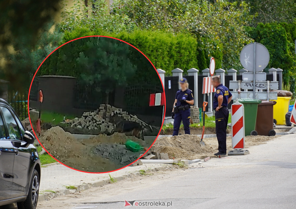 Agresywny pies terroryzuje mieszkańców. Pilna akcja służb w Ostrołęce [ZDJĘCIA]