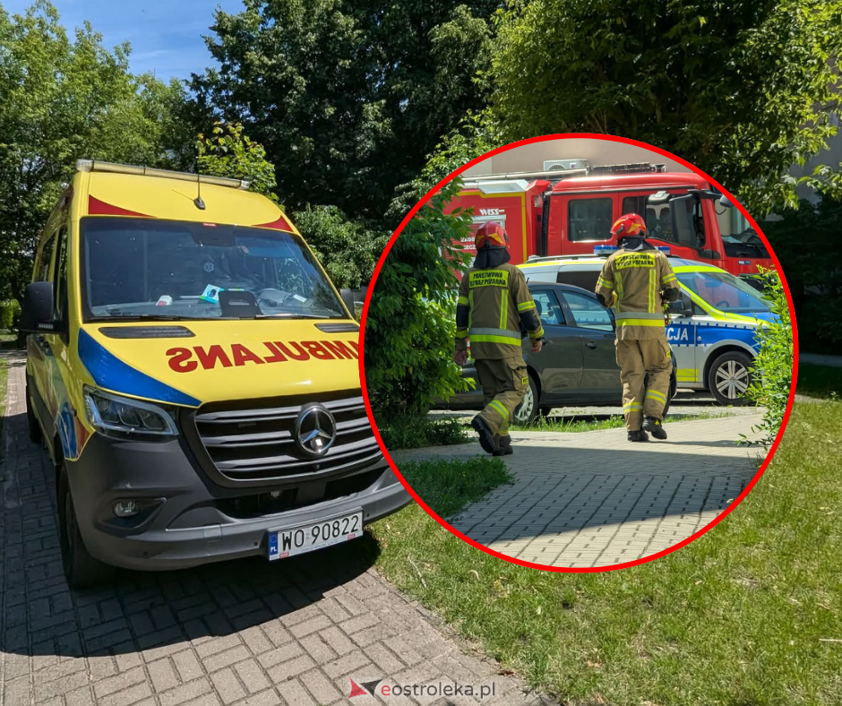 fot. eOstroleka.pl