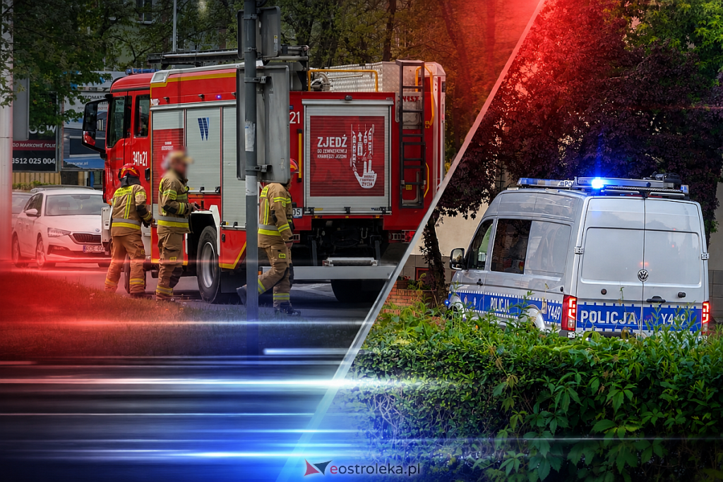 Alarm przy ul. Witosa. Finał interwencji okazał się wyjątkowo nietypowy