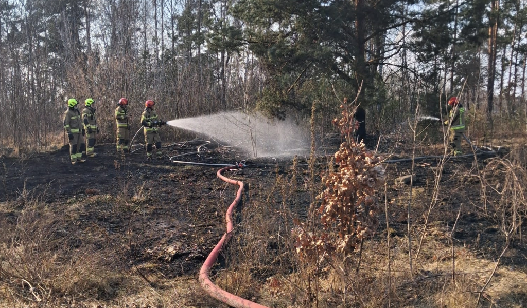 fot. OSP w Ostrołęce