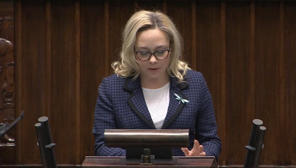 Sejm za dalszymi pracami w sprawie WZK. "Dotyka spraw fundamentalnych" [WIDEO]