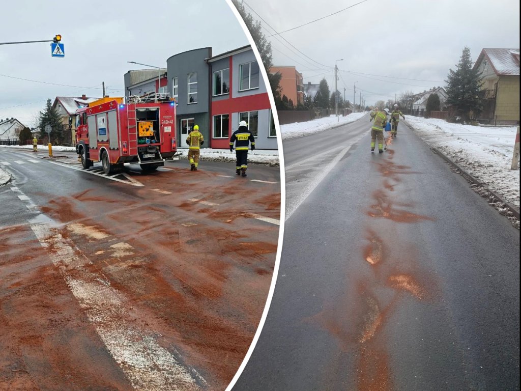 Interwencja na drodze krajowej. W akcji strażacy i GDDKiA