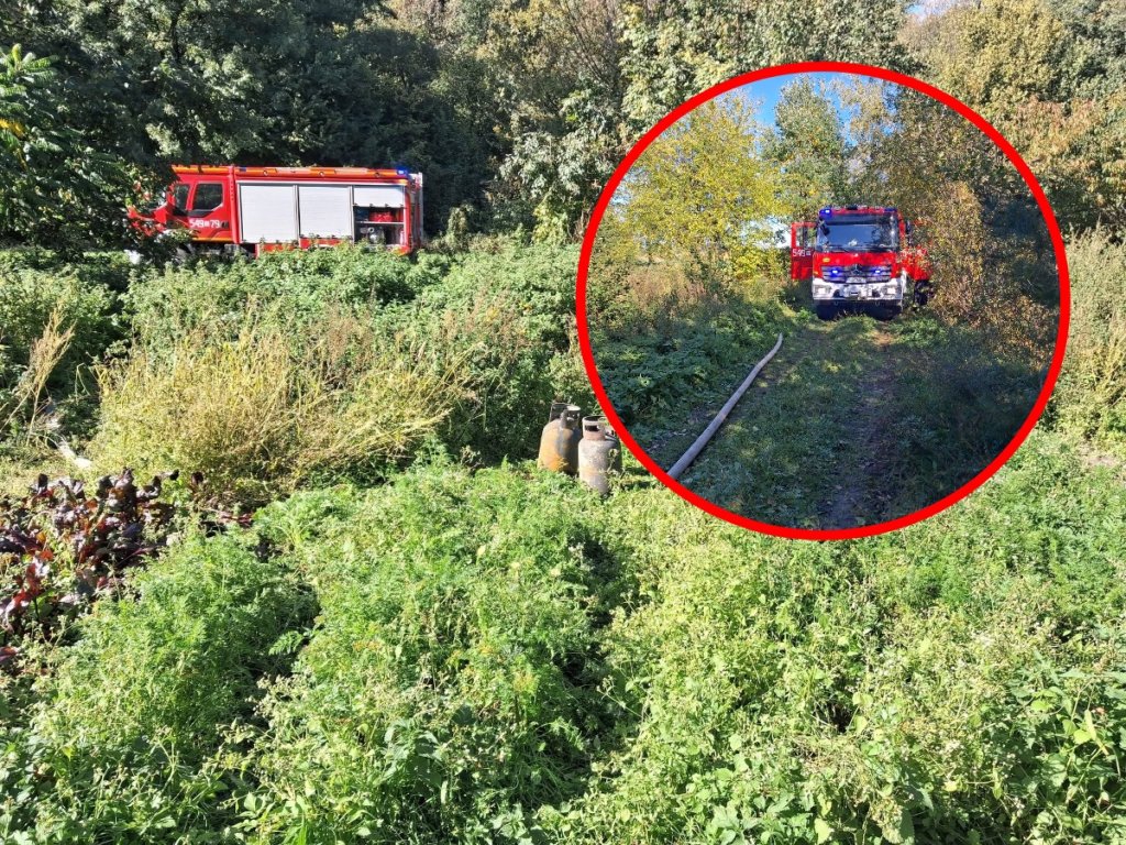 Sąsiad widział ją rano. Kilka godzin później jej dom stał w ogniu