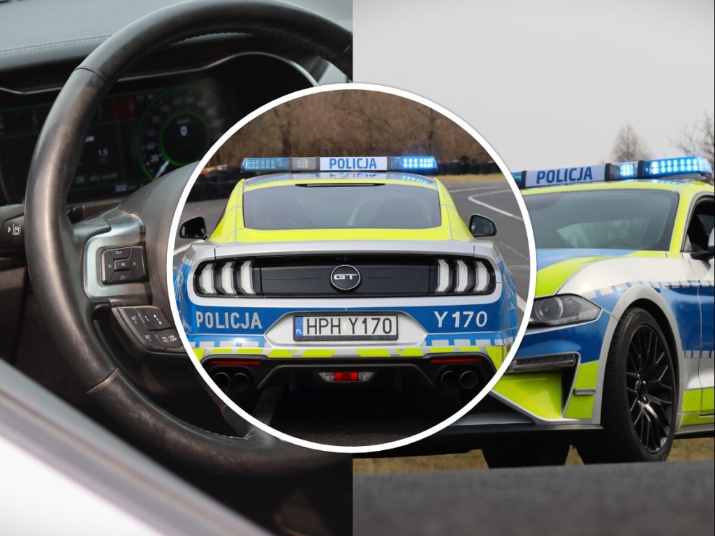 Ford Mustang oficjalnie w służbie mazowieckiej policji. ZOBACZ ZDJĘCIA
