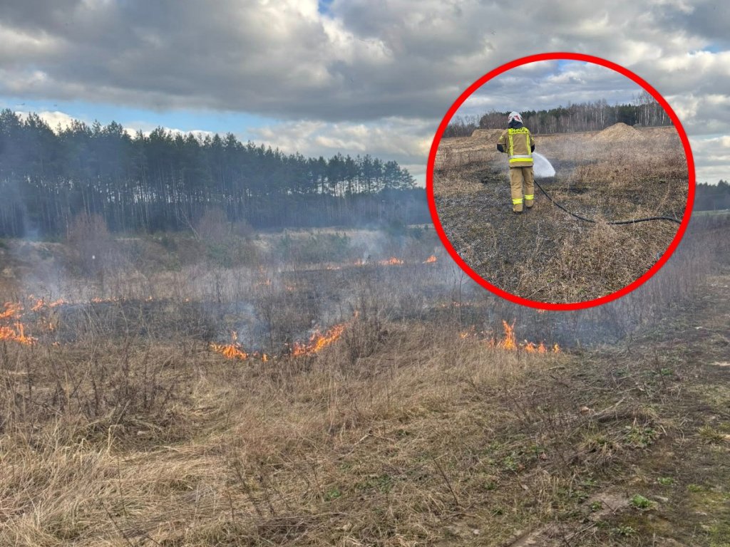 Strażacy ruszyli do pożaru. Paliło się w Lipnikach [ZDJĘCIA]