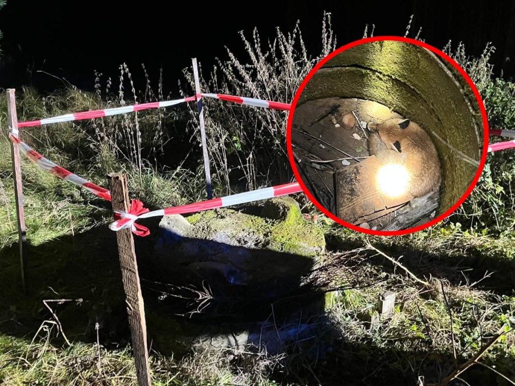 Stara studnia stała się pułapką! Na pomoc ruszyli strażacy [ZDJĘCIA]