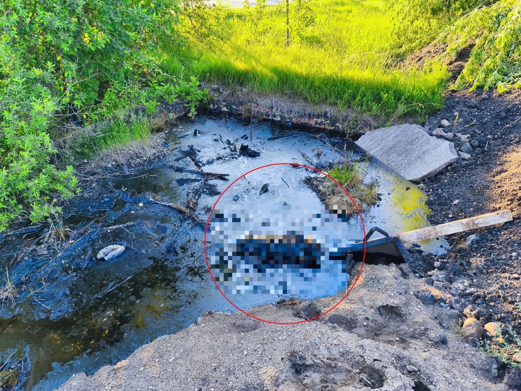 fot. nadesłane przez czytelnika
