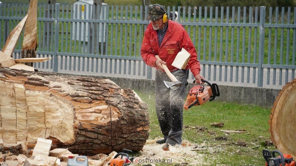 Drewno ożyje pod ich dłutami! Przed nami 6. Rzekuński Plener Rzeźbiarski