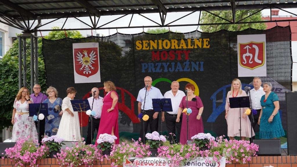 Muzyka i taniec na Placu Wolności. „Senioralne Mosty Przyjaźni” w Ostrołęce! [ZDJĘCIA, WIDEO]