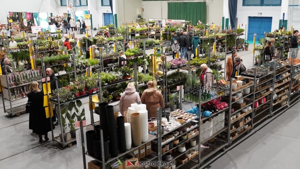 Festiwal roślin w Ostrołęce [ZDJĘCIA, WIDEO]