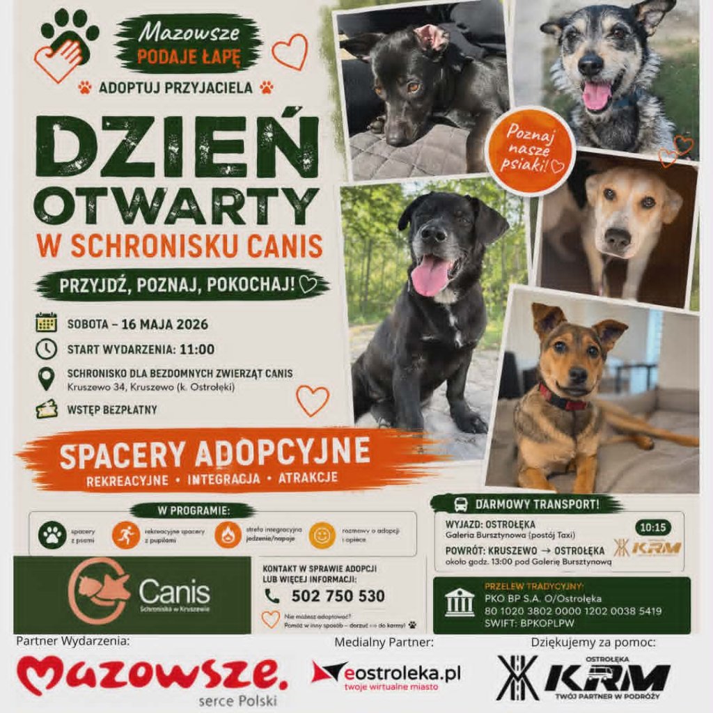 Jedno spotkanie zmienia wszystko. Przyjedź do Kruszewa i poznaj psy, które czekają na dom