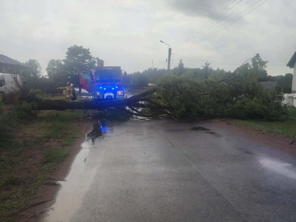 Siedem interwencji w kilkadziesiąt minut. Skutki wichury pod Ostrołęką [ZDJĘCIA]
