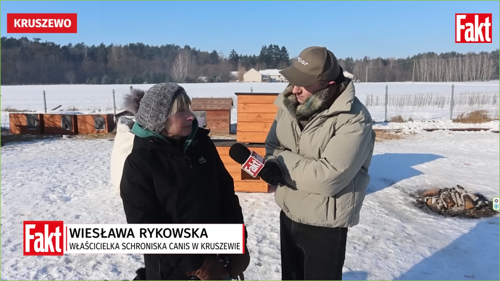 "Nie każde schronisko to pato schronisko". Redakcja Faktu z wizytą w schronisku Canis w Kruszewie [WIDEO]