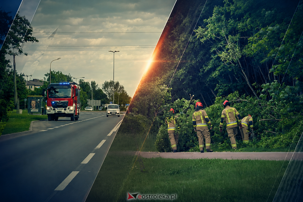 Strażacy interweniowali przy rondzie Honorowych Dawców Krwi. Spacerowicze zauważyli zagrożenie i wezwali pomoc [ZDJĘCIA]