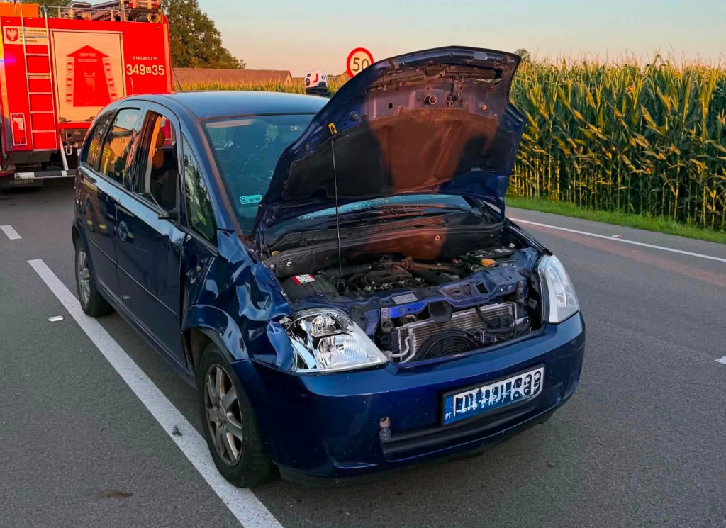Wyszła z pola prosto pod Opla. Groźna kolizja na trasie Kadzidło-Kopaczysk [ZDJĘCIA]