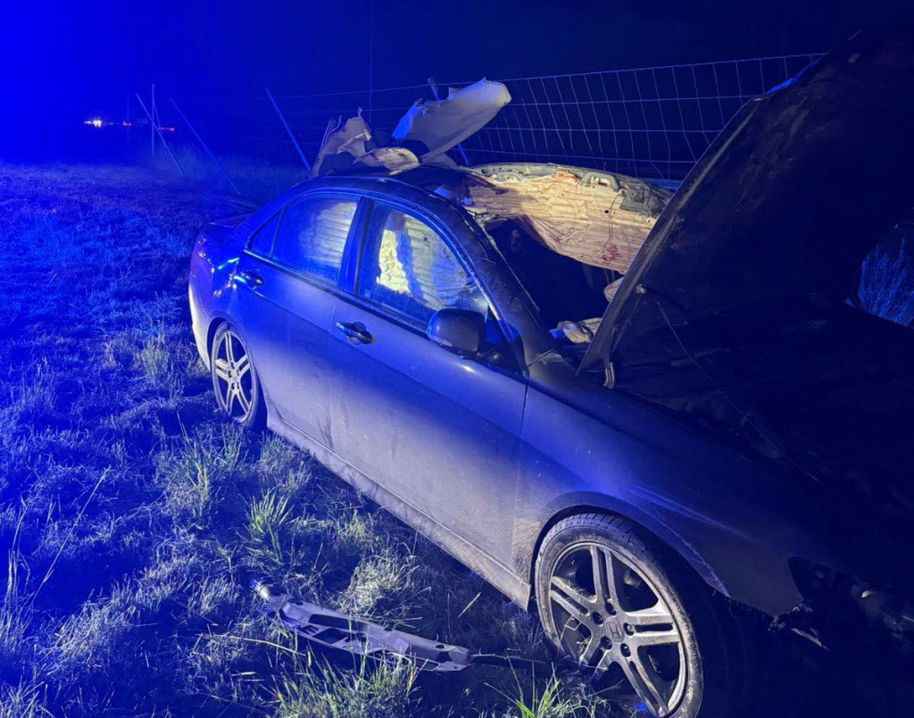 Groźne zderzenie z łosiem na S61. Dwie osoby trafiły do szpitala [FOTO]