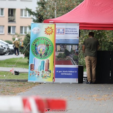 Doświetlone przejście, nowe latarnie i próg zwalniający. Osiedle Dzieci Polskich zgłosiło swoje potrzeby