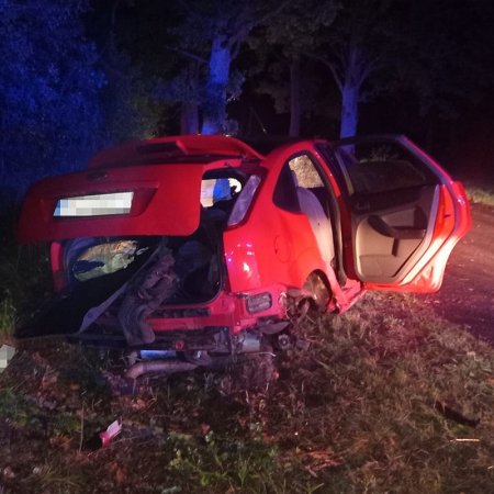 Wypadek kierowcy z powiatu ostrołęckiego. Omijał zwierzę i uderzył w drzewo [ZDJĘCIA]