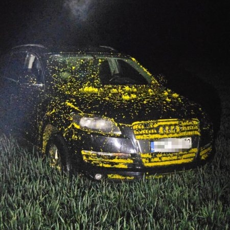 Wielki plan i Audi w rzepaku. Zgłosiła kradzież, by chronić partnera, teraz oboje mają problem