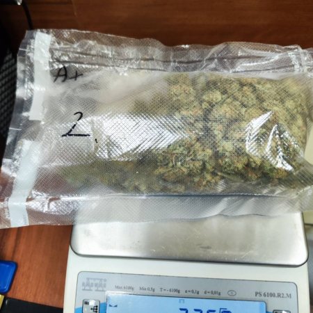 Cios w przestępczość narkotykową. Blisko 500 porcji! Młody ostrołęczanin z zarzutami