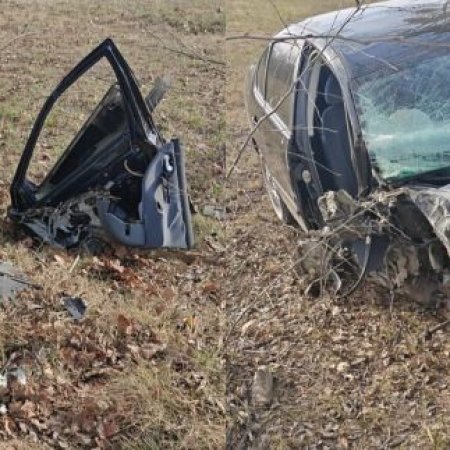 To był rajd ku śmierci. Pijany 44-latek wbił się w drzewo z ogromną siłą!