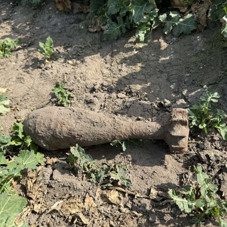 Takie znalezisko może przerazić. 35-latek natknął się na to na polu!