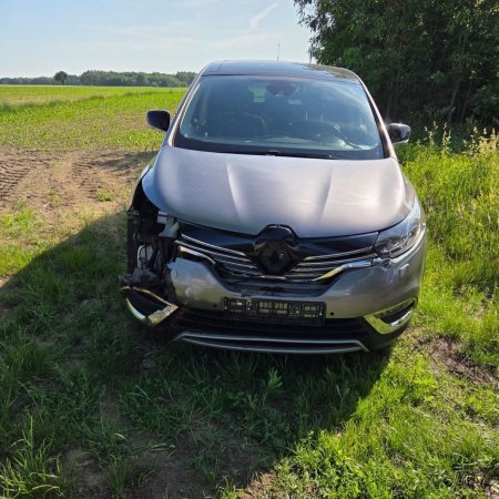Zdarzenie drogowe z udziałem dzikiego zwierzęcia. Policja apeluje o szczególną ostrożność