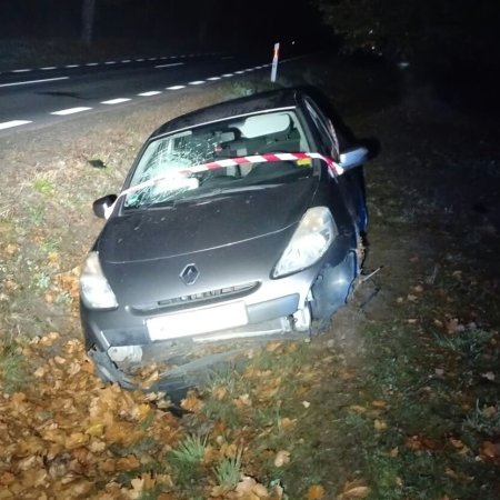 Renault w rowie, pijany Peruwiańczyk za kierownicą. Policjanci odkryli znacznie więcej!