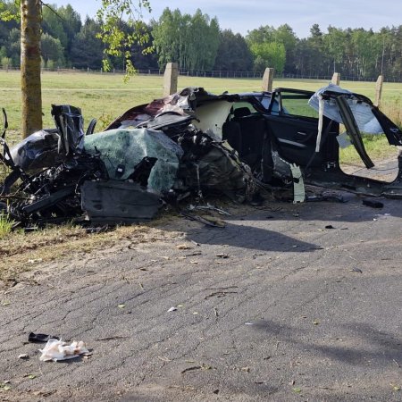 Tragiczny wypadek. Niespodziewany gość na jezdni doprowadził do dramatu