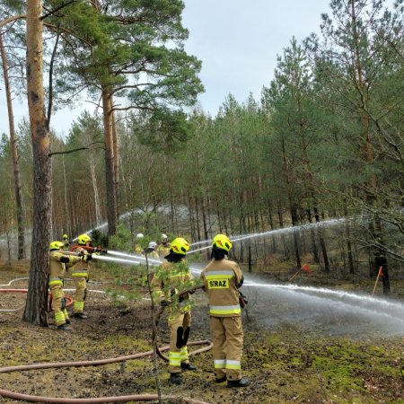 Kłęby dymu nad gminą Olszewo-Borki! Płonął las, do akcji ruszyły potężne siły! [ZDJĘCIA]