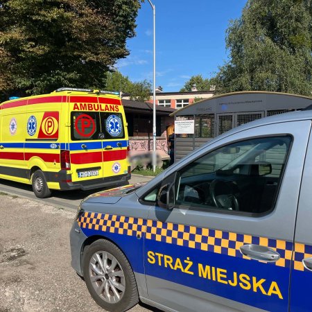 Tragedia przy przedszkolu w Ostrołęce. Mężczyzna zasłabł, nie udało się go uratować