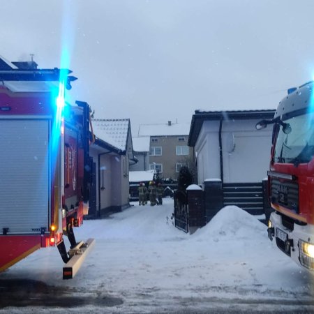 Ogień na ul. Ogródkowej. Żywopłot w płomieniach, zagrożony budynek mieszkalny [ZDJĘCIA]