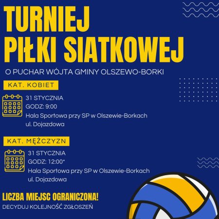 Turniej piłki siatkowej o puchar wójta gminy Olszewo-Borki