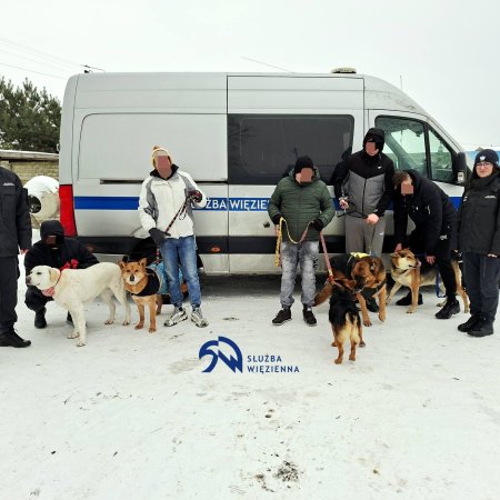 Osadzeni z Przytuł Starych w schronisku Canis. Spacery i koce dla psów [ZDJĘCIA]