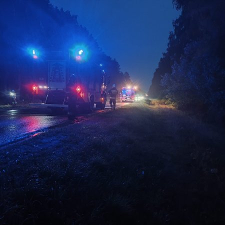 Strażacy w akcji, właściciela brak. Nietypowy pożar na krajowej 60 [ZDJĘCIA]