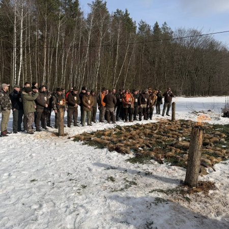 Myśliwi polowali na drapieżniki. Zakończyli pokotem. "Zgodnie z tradycją"