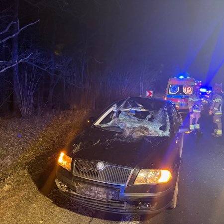 Poważny wypadek w Sadykierzu: Samochód uderzył w łosia [ZDJĘCIA]