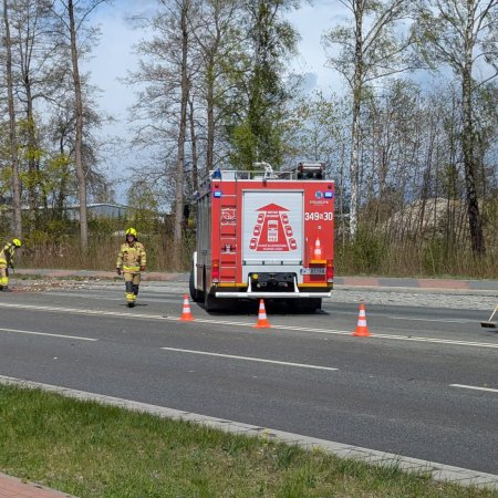 Strażacy w akcji na ulicy Ostrowskiej: Powalone drzewo zablokowało wjazd do miasta [ZDJĘCIA]