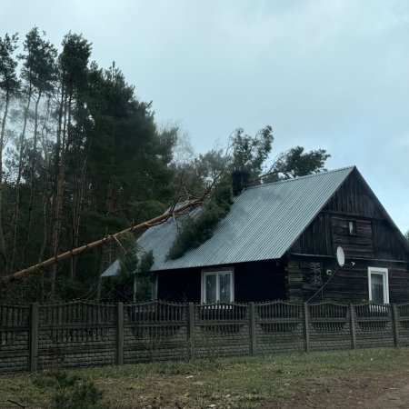 Drzewo runęło na dom. Interwencja strażaków z OSP [ZDJĘCIA]
