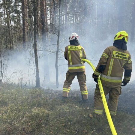Scenariusz, który stał się rzeczywistością. Kilka godzin po ćwiczeniach gasili prawdziwy pożar [ZDJĘCIA]