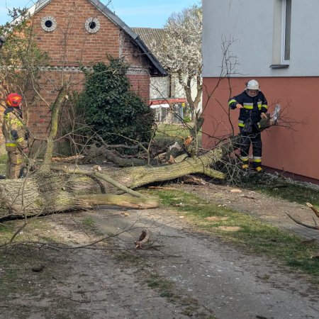 Drzewo runęło na dom pod Ostrołęką. W akcji jednostki strażackie [WIDEO, ZDJĘCIA]