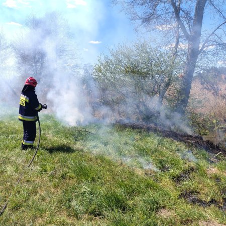 Pożar nad brzegiem rzeki Orz: Interwencja strażaków w Ponikwi Dużej [FOTO]