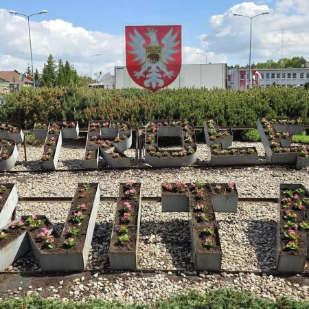 Ostrołęka upiększona! Pojawiły się kolejne kwietne kompozycje [ZDJĘCIA]