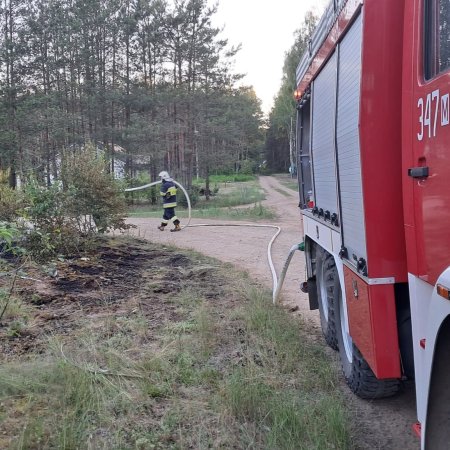 Piekielny upał i pożar lasu. W akcji strażacy z kilku jednostek [ZDJĘCIA]