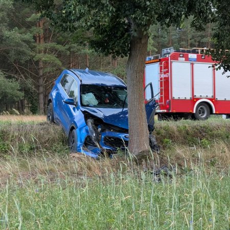Wypadek w gminie Olszewo-Borki. Auto rozbite na drzewie [ZDJĘCIA]