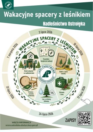 Wakacyjne spacery z leśnikiem. Nadleśnictwo Ostrołęka zaprasza na wspólne wędrówki
