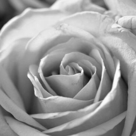 Mieszkańcy i samorząd gminy Olszewo-Borki żegnają śp. Hannę Grądzką