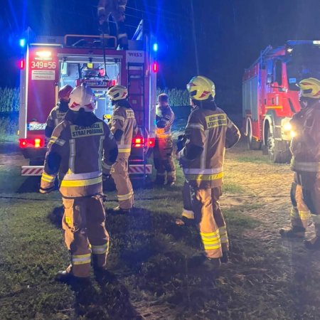 Alarm pożarowy postawił na nogi służby ratunkowe. Kilka zastępów ruszyło do lasu [ZDJĘCIA]
