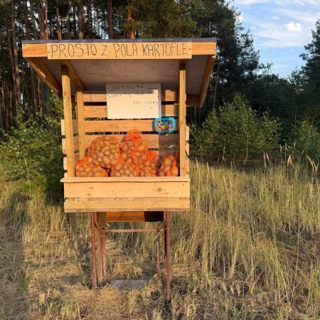 "Prosto z pola". Niecodzienna budka przy wejściu do lasu [WIDEO, ZDJĘCIA]